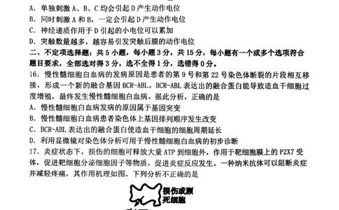 丹东市2023-2024上学期期末高三生物试题_2024届辽宁省丹东市高三上学期期末教学质量监测_辽宁省丹东市2024届高三上学期期末教学质量监测生物_生物