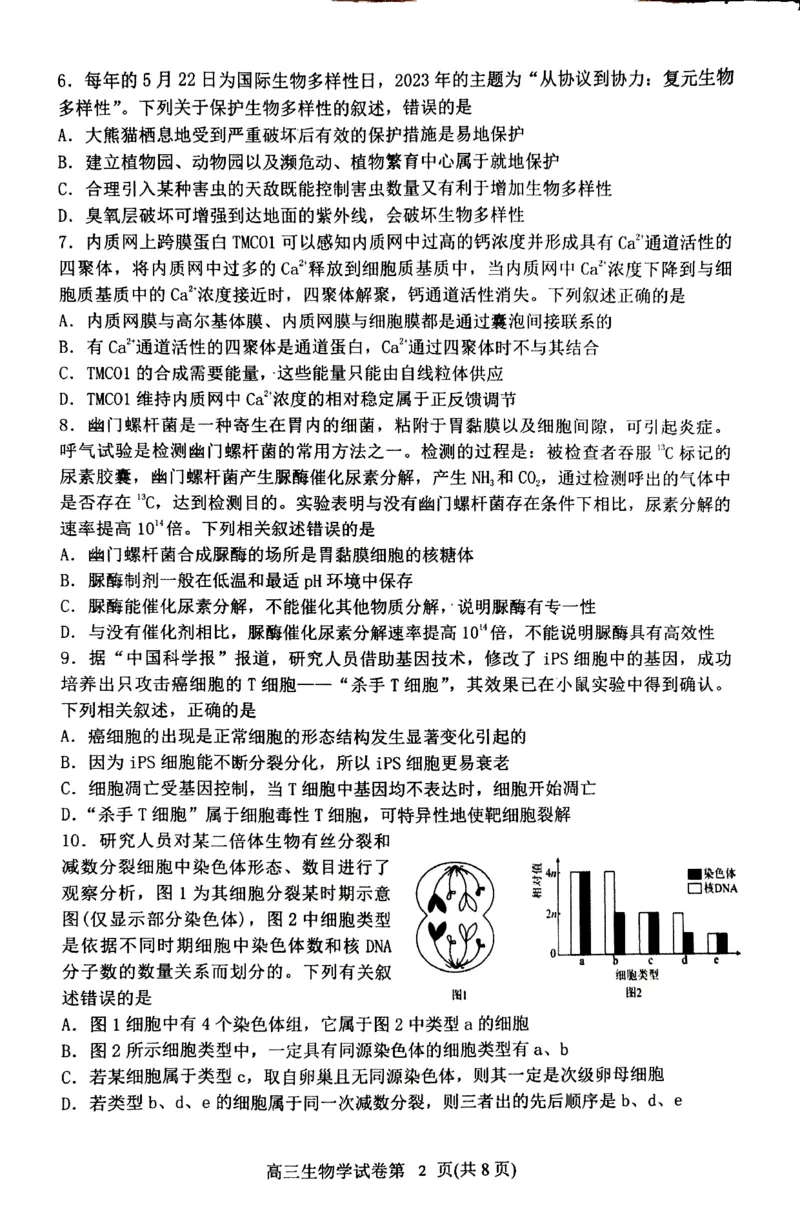 丹东市2023-2024上学期期末高三生物试题_2024届辽宁省丹东市高三上学期期末教学质量监测_辽宁省丹东市2024届高三上学期期末教学质量监测生物_生物