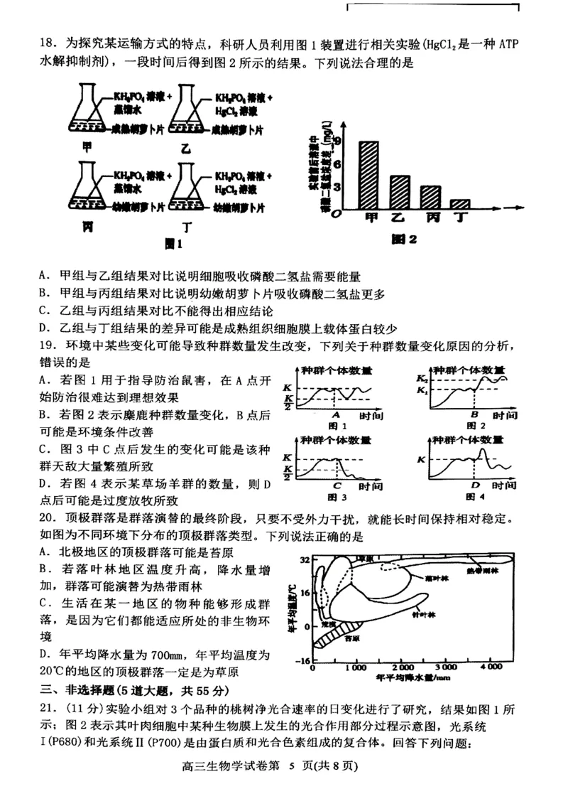 丹东市2023-2024上学期期末高三生物试题_2024届辽宁省丹东市高三上学期期末教学质量监测_辽宁省丹东市2024届高三上学期期末教学质量监测生物_生物