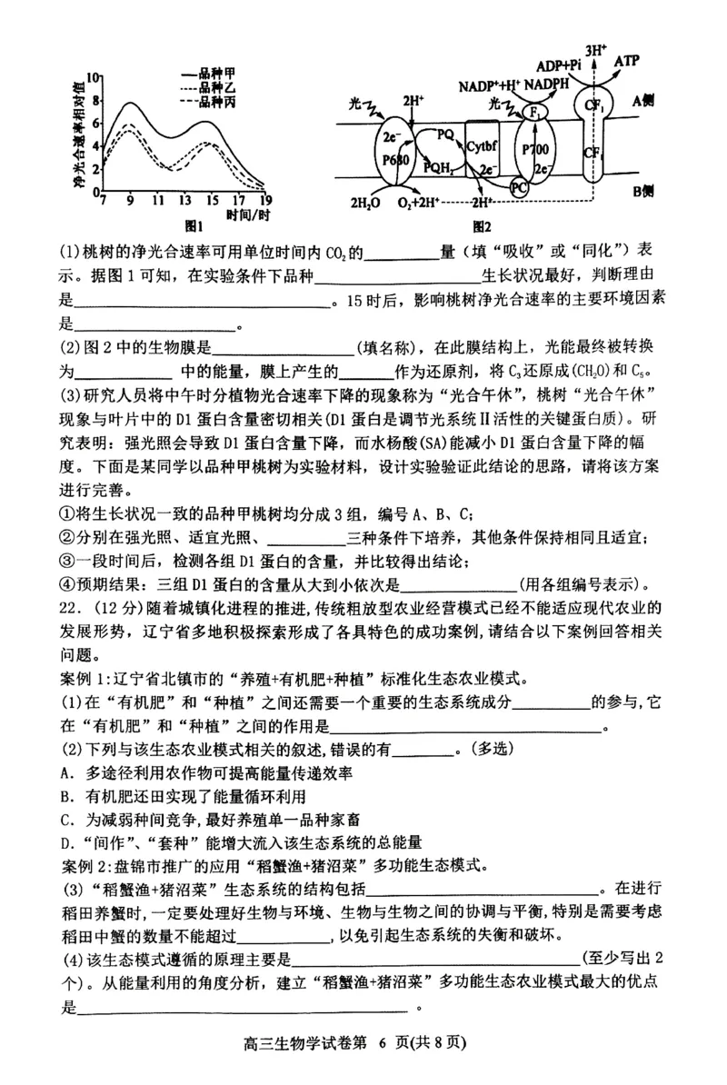 丹东市2023-2024上学期期末高三生物试题_2024届辽宁省丹东市高三上学期期末教学质量监测_辽宁省丹东市2024届高三上学期期末教学质量监测生物_生物