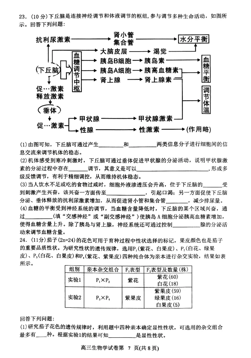 丹东市2023-2024上学期期末高三生物试题_2024届辽宁省丹东市高三上学期期末教学质量监测_辽宁省丹东市2024届高三上学期期末教学质量监测生物_生物