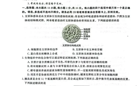 河南省开封市2024-2025学年高二下学期期末调研考试生物试卷+答案_2025年7月_250708河南省开封市2024-2025学年高二下学期期末调研考试（全科）