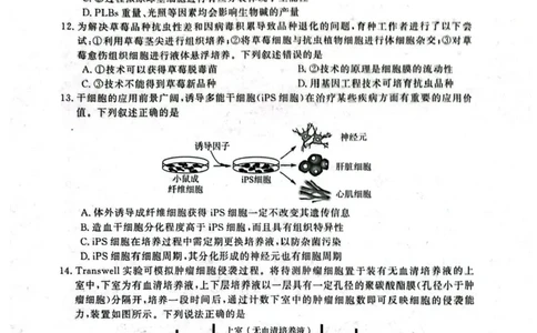 河南省开封市2024-2025学年高二下学期期末调研考试生物试卷+答案_2025年7月_250708河南省开封市2024-2025学年高二下学期期末调研考试（全科）