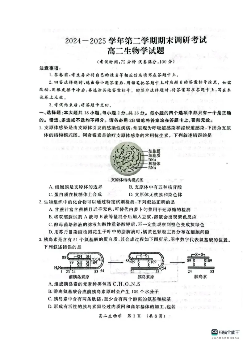 河南省开封市2024-2025学年高二下学期期末调研考试生物试卷+答案_2025年7月_250708河南省开封市2024-2025学年高二下学期期末调研考试（全科）