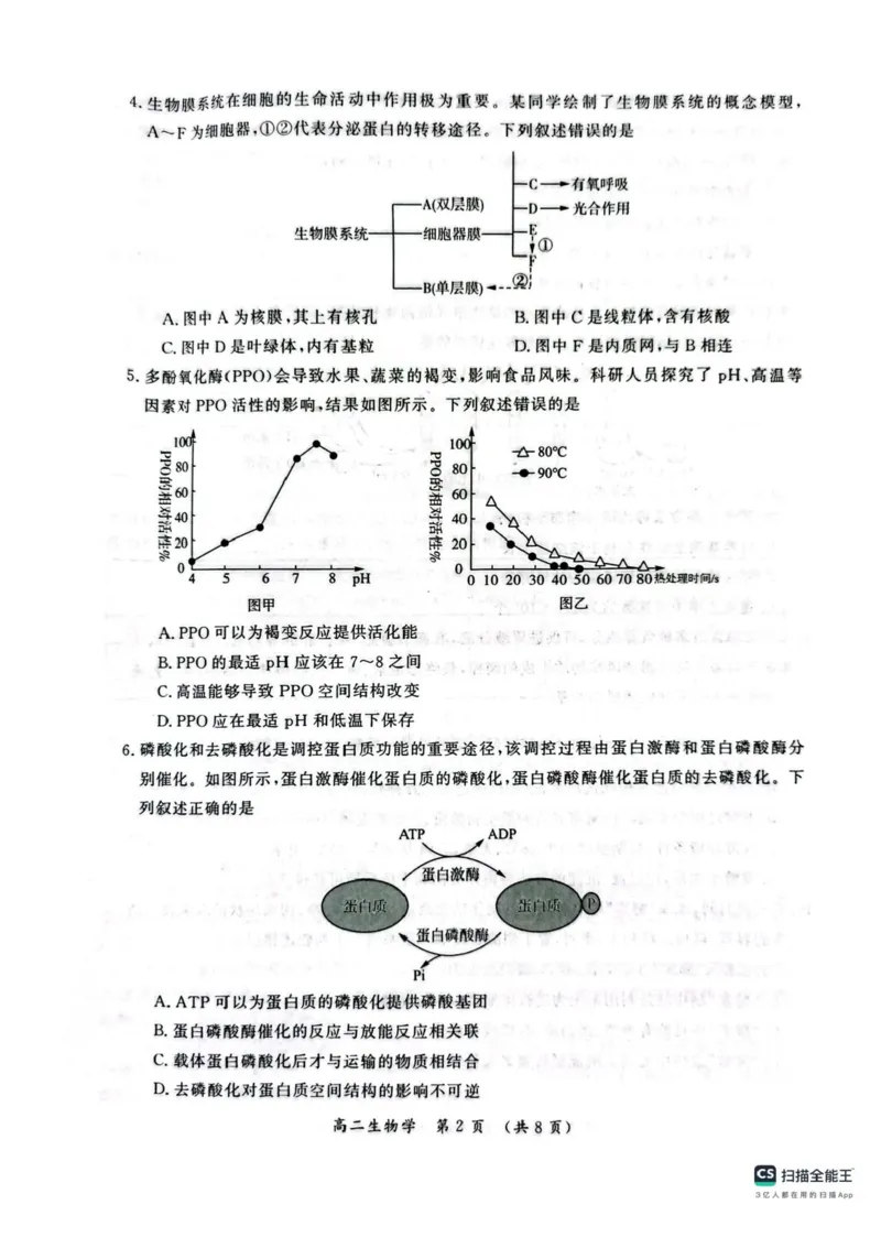 河南省开封市2024-2025学年高二下学期期末调研考试生物试卷+答案_2025年7月_250708河南省开封市2024-2025学年高二下学期期末调研考试（全科）
