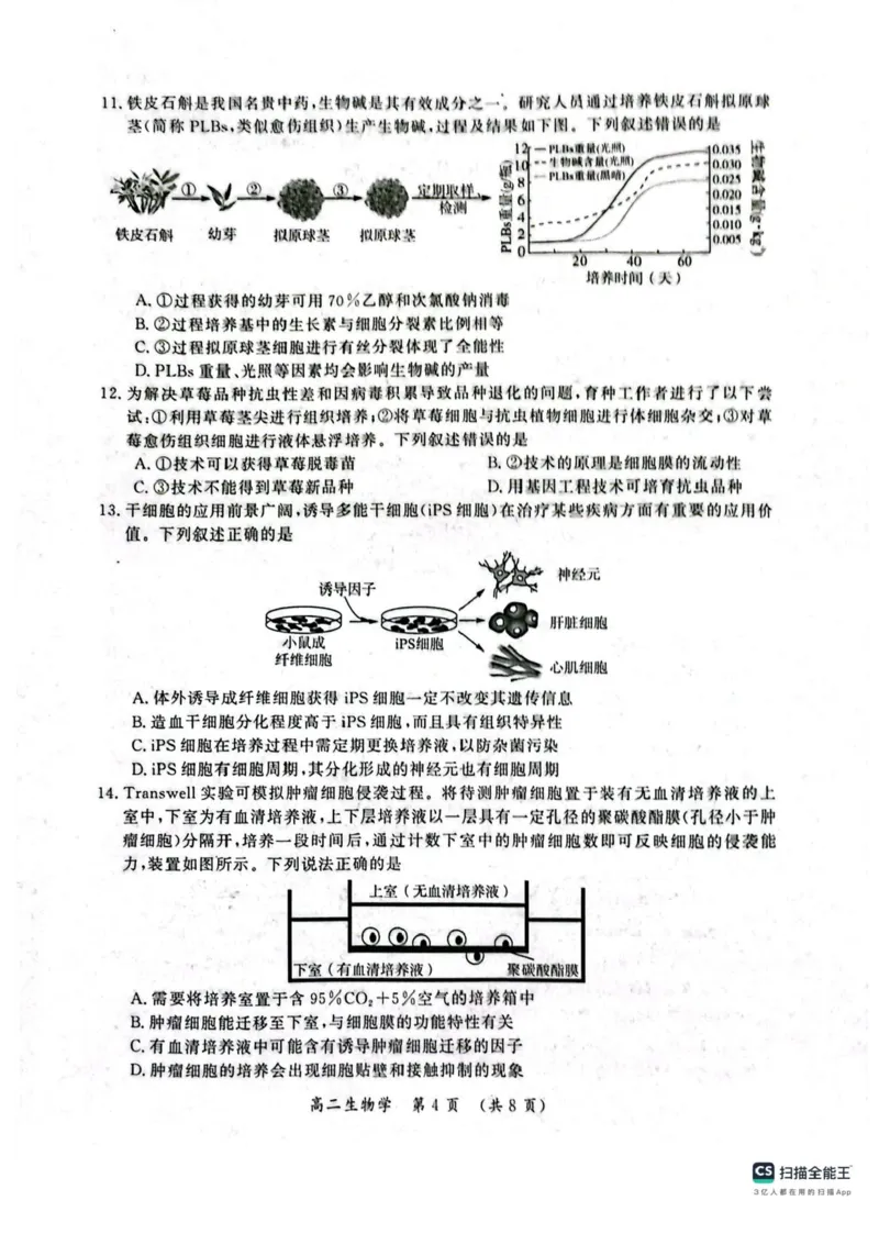 河南省开封市2024-2025学年高二下学期期末调研考试生物试卷+答案_2025年7月_250708河南省开封市2024-2025学年高二下学期期末调研考试（全科）