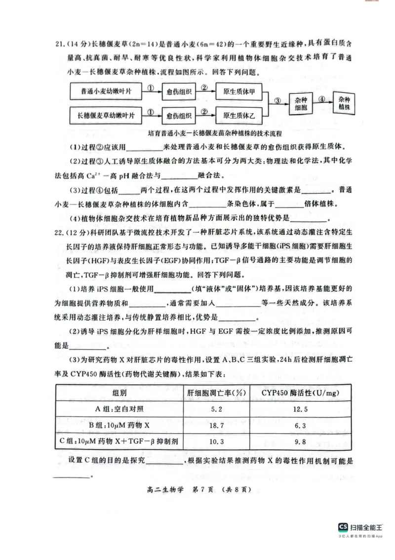 河南省开封市2024-2025学年高二下学期期末调研考试生物试卷+答案_2025年7月_250708河南省开封市2024-2025学年高二下学期期末调研考试（全科）