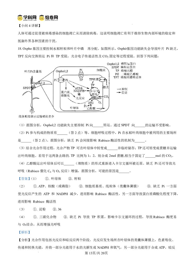 天壹名校联盟2026届高三11月质量检测生物答案_251112湖南省天壹名校联盟2026届高三11月质量检测（全科）
