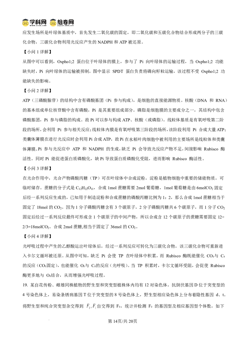 天壹名校联盟2026届高三11月质量检测生物答案_251112湖南省天壹名校联盟2026届高三11月质量检测（全科）