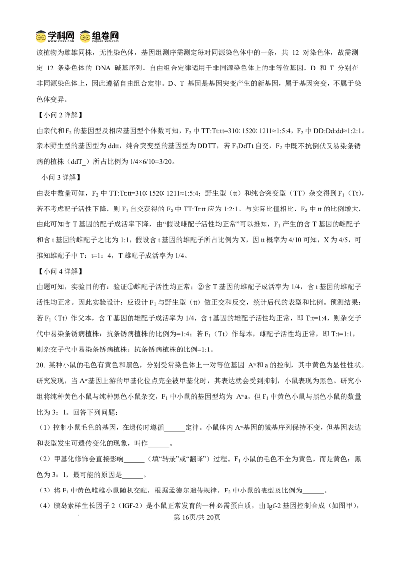 天壹名校联盟2026届高三11月质量检测生物答案_251112湖南省天壹名校联盟2026届高三11月质量检测（全科）