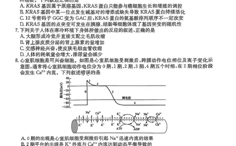 河南省2026届高三年级TOP二十名校调研考试二（26-X-308C）生物_2025年12月_251224河南省2026届高三年级TOP二十名校调研考试二（26-X-308C）（全科）