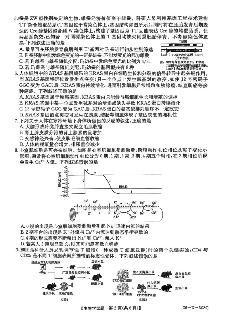 河南省2026届高三年级TOP二十名校调研考试二（26-X-308C）生物_2025年12月_251224河南省2026届高三年级TOP二十名校调研考试二（26-X-308C）（全科）