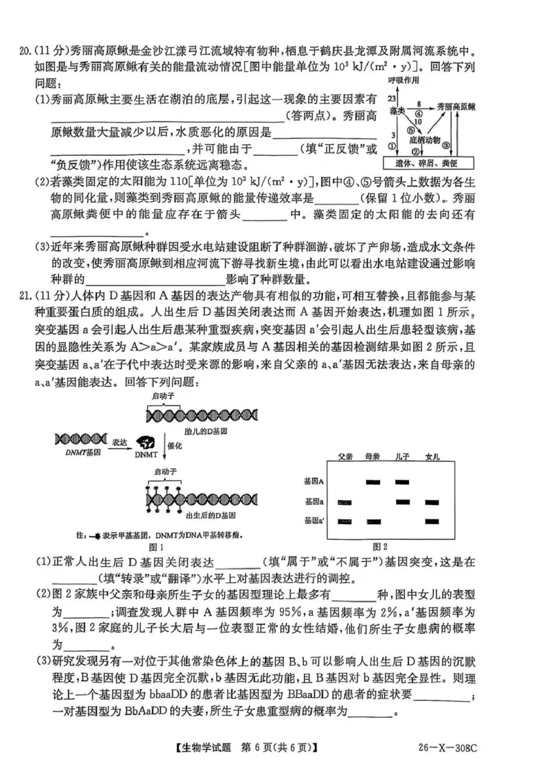 河南省2026届高三年级TOP二十名校调研考试二（26-X-308C）生物_2025年12月_251224河南省2026届高三年级TOP二十名校调研考试二（26-X-308C）（全科）