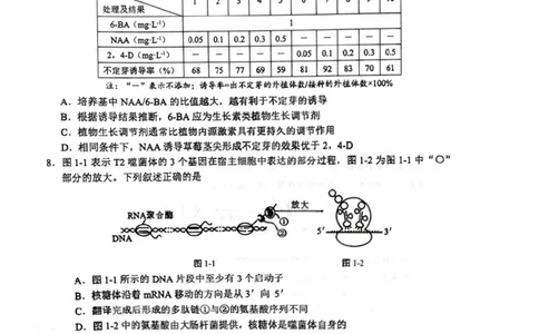 广西壮族自治区柳州市2024-2025学年高二下学期6月期末考试生物试题（含答案）_2025年6月_250627广西壮族自治区柳州市2024-2025学年高二下学期6月期末考试（全科）