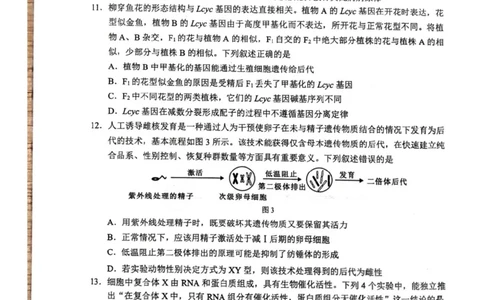 广西壮族自治区柳州市2024-2025学年高二下学期6月期末考试生物试题（含答案）_2025年6月_250627广西壮族自治区柳州市2024-2025学年高二下学期6月期末考试（全科）