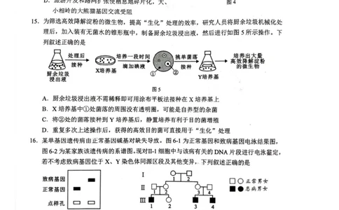 广西壮族自治区柳州市2024-2025学年高二下学期6月期末考试生物试题（含答案）_2025年6月_250627广西壮族自治区柳州市2024-2025学年高二下学期6月期末考试（全科）