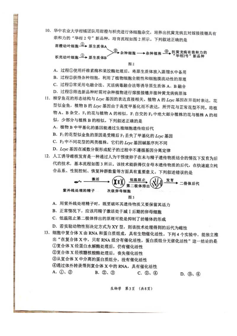 广西壮族自治区柳州市2024-2025学年高二下学期6月期末考试生物试题（含答案）_2025年6月_250627广西壮族自治区柳州市2024-2025学年高二下学期6月期末考试（全科）