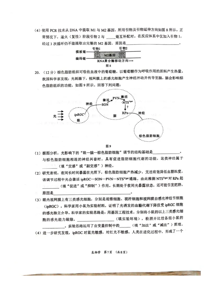 广西壮族自治区柳州市2024-2025学年高二下学期6月期末考试生物试题（含答案）_2025年6月_250627广西壮族自治区柳州市2024-2025学年高二下学期6月期末考试（全科）