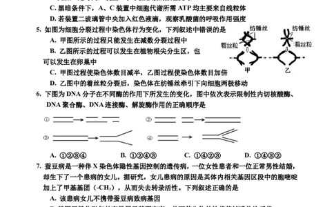 2024届生物二模_2024年1月_01每日更新_13号_2024届吉林省吉林市高三上学期第二次模拟考试_吉林省吉林市2024届高三上学期第二次模拟考试生物