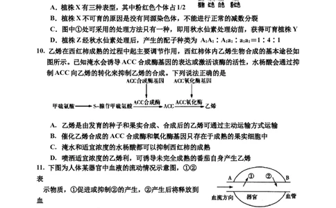 2024届生物二模_2024年1月_01每日更新_13号_2024届吉林省吉林市高三上学期第二次模拟考试_吉林省吉林市2024届高三上学期第二次模拟考试生物