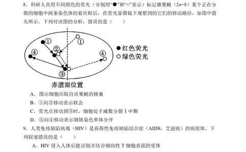 石家庄实验中学2026届高三年级第一学期期中考试生物_251103石家庄实验中学2026届高三年级第一学期期中考试（全科）