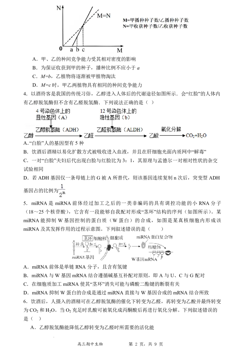 石家庄实验中学2026届高三年级第一学期期中考试生物_251103石家庄实验中学2026届高三年级第一学期期中考试（全科）