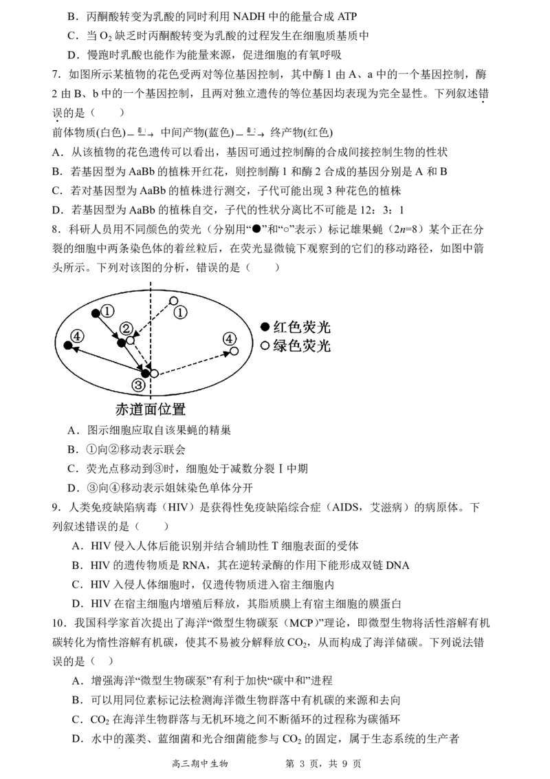 石家庄实验中学2026届高三年级第一学期期中考试生物_251103石家庄实验中学2026届高三年级第一学期期中考试（全科）