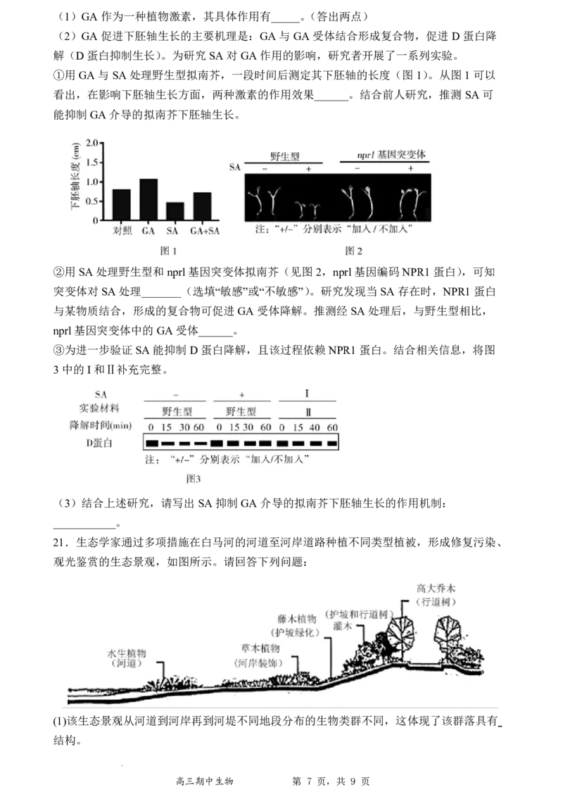 石家庄实验中学2026届高三年级第一学期期中考试生物_251103石家庄实验中学2026届高三年级第一学期期中考试（全科）