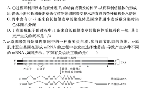 安徽省合肥一六八中学2025届高三最后一卷生物_2025年6月_250601安徽省合肥一六八中学2025届高三最后一卷（全科）
