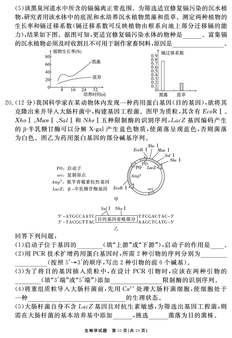 安徽省合肥一六八中学2025届高三最后一卷生物_2025年6月_250601安徽省合肥一六八中学2025届高三最后一卷（全科）