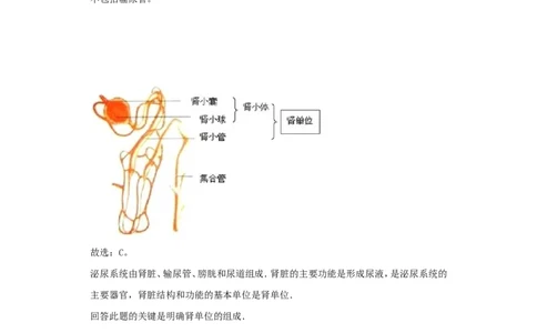 甘肃省白银市2018年中考生物真题试题（含解析）_中考真题_8.生物中考真题2015-2024年_2018年全国中考生物141份