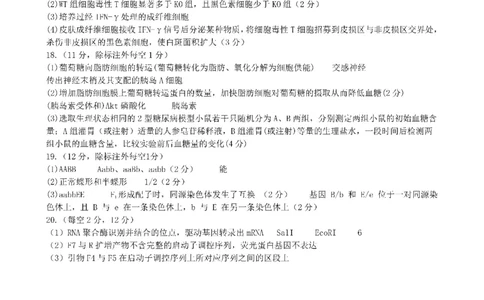 成都市第七中学2025-2026学年高三上学期11月半期考试生物答案_251120四川省成都市第七中学2025-2026学年高三上学期11月半期考试（全科）