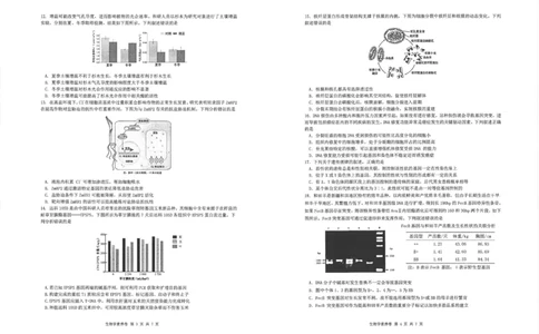 湖北省华中师大一附中2025年高考学科核心素养卷生物_2025年6月_2506042025届湖北省武汉市华中师范大学第一附属中学高三下学期核心素养卷（全科）