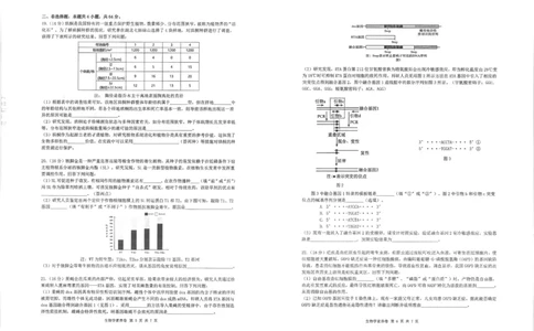 湖北省华中师大一附中2025年高考学科核心素养卷生物_2025年6月_2506042025届湖北省武汉市华中师范大学第一附属中学高三下学期核心素养卷（全科）