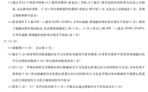25年11月五校联盟-生物答案_251122安徽省五校联盟2026届高三年级11月第一次五校联考（全科）