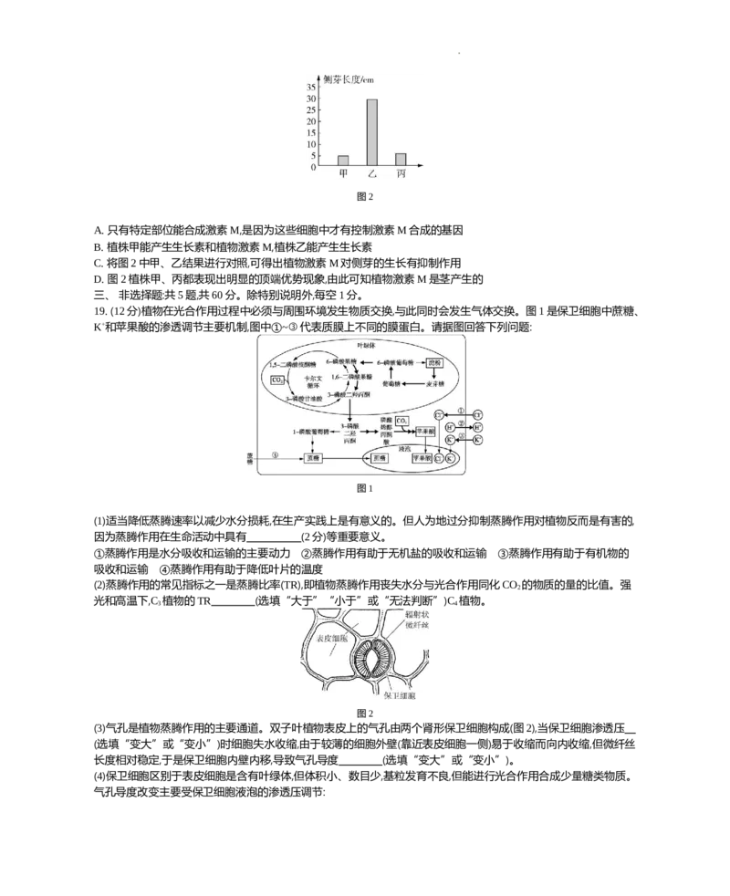 江苏省2024届高三上学期期末迎考生物_2024届江苏省高三上学期期末迎考