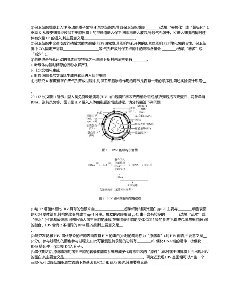 江苏省2024届高三上学期期末迎考生物_2024届江苏省高三上学期期末迎考