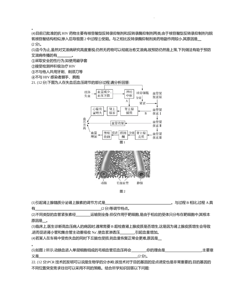 江苏省2024届高三上学期期末迎考生物_2024届江苏省高三上学期期末迎考