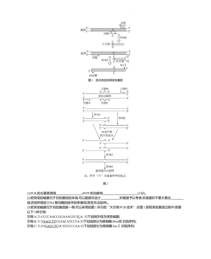 江苏省2024届高三上学期期末迎考生物_2024届江苏省高三上学期期末迎考