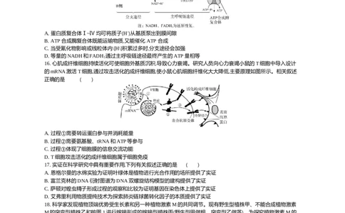 江苏省2024届高三上学期期末迎考生物_2024届江苏省高三上学期期末迎考