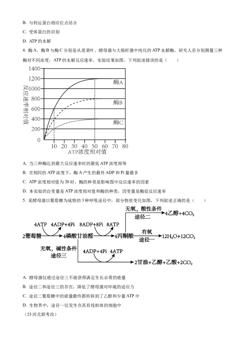 湖南省衡阳市雁峰区衡阳市第八中学2025-2026学年高三上学期11月期中生物试题（原卷版）_2025年11月_251112湖南省衡阳市第八中学2026届高三上学期期中考试（全科）