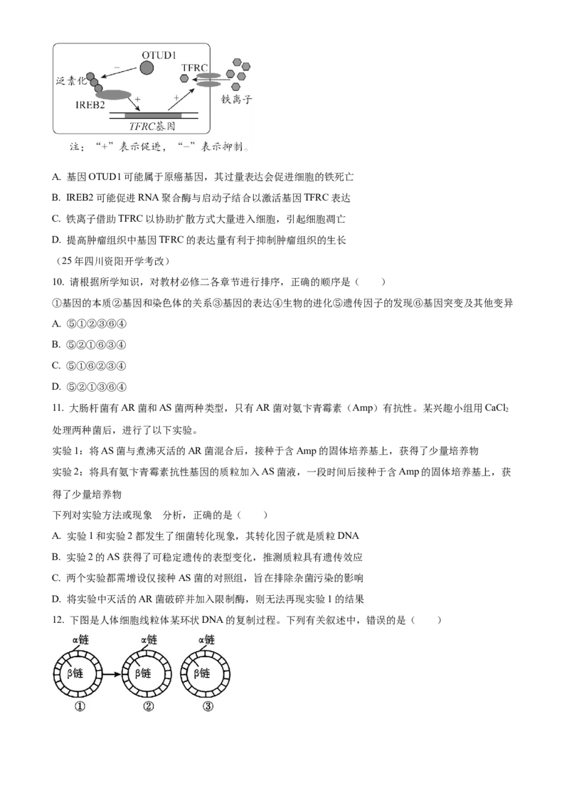 湖南省衡阳市雁峰区衡阳市第八中学2025-2026学年高三上学期11月期中生物试题（原卷版）_2025年11月_251112湖南省衡阳市第八中学2026届高三上学期期中考试（全科）