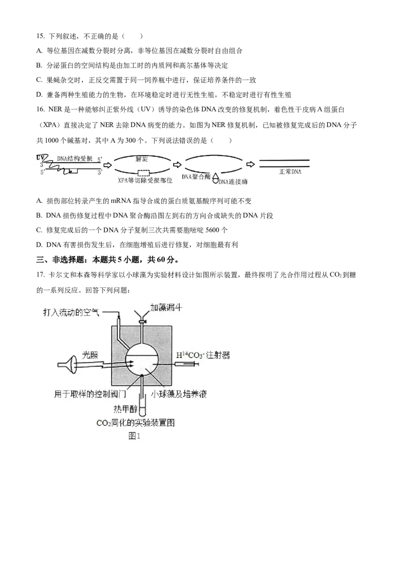 湖南省衡阳市雁峰区衡阳市第八中学2025-2026学年高三上学期11月期中生物试题（原卷版）_2025年11月_251112湖南省衡阳市第八中学2026届高三上学期期中考试（全科）