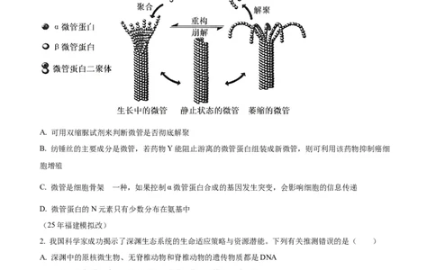 湖南省衡阳市雁峰区衡阳市第八中学2025-2026学年高三上学期11月期中生物试题（原卷版）_2025年11月_251112湖南省衡阳市第八中学2026届高三上学期期中考试（全科）