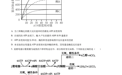湖南省衡阳市雁峰区衡阳市第八中学2025-2026学年高三上学期11月期中生物试题（原卷版）_2025年11月_251112湖南省衡阳市第八中学2026届高三上学期期中考试（全科）