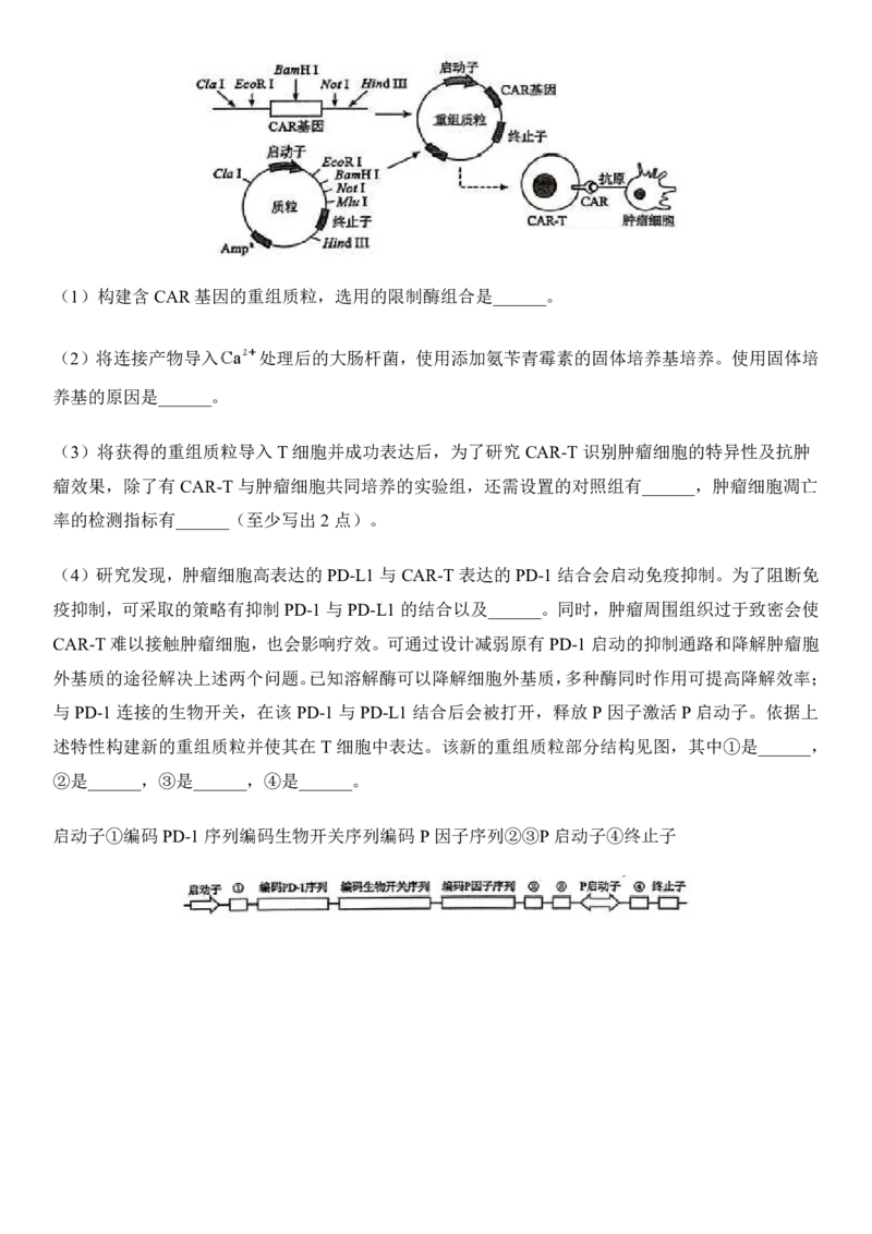 2025年广西高考生物真题及答案_1.高考2025全国各省真题+答案_00.2025各省市高考真题及答案（按省份分类）_21、广西卷（全科，持续更新）_6.生物