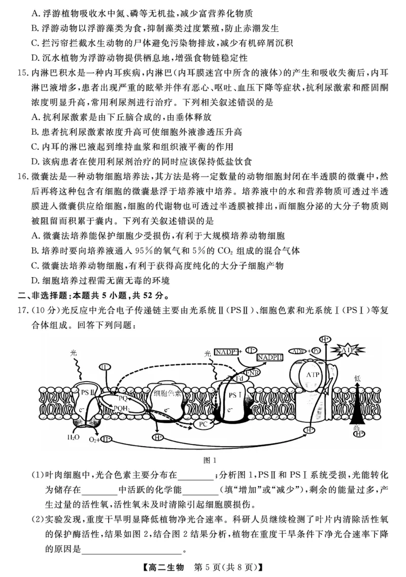 金科&middot;新未来7月3-4日高二联考-生物_2025年7月_250707河南省金科&middot;新未来2024-2025学年高二下学期期末联考考试（全科）_金科&middot;新未来7月3-4日高二联考试题