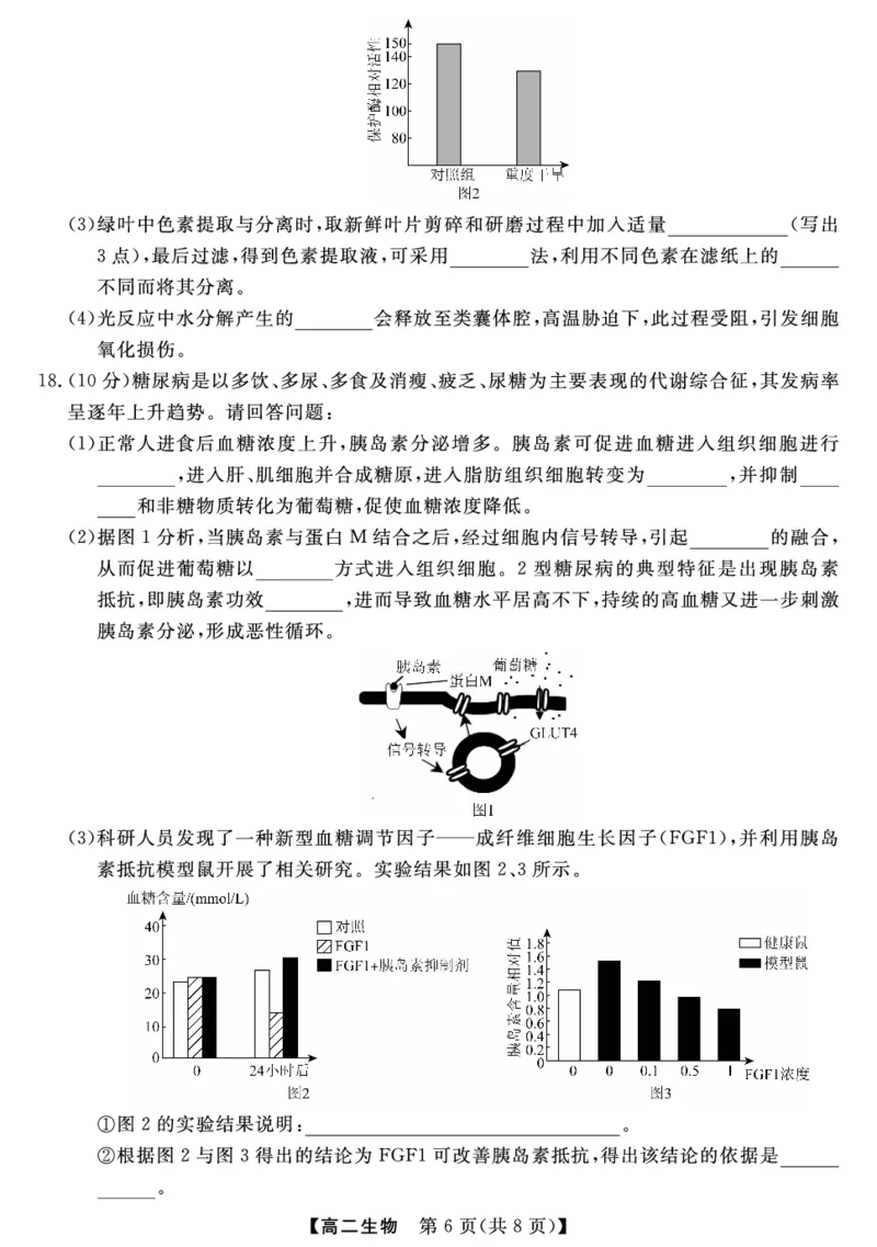 金科&middot;新未来7月3-4日高二联考-生物_2025年7月_250707河南省金科&middot;新未来2024-2025学年高二下学期期末联考考试（全科）_金科&middot;新未来7月3-4日高二联考试题