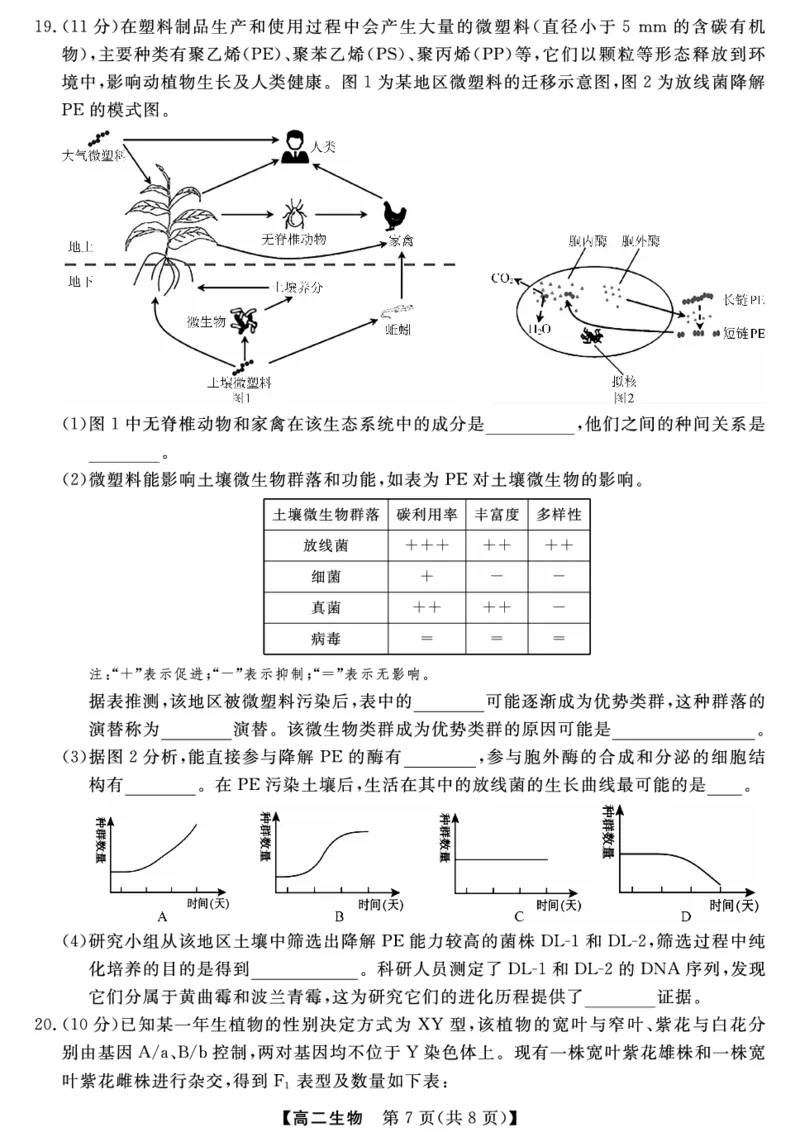金科&middot;新未来7月3-4日高二联考-生物_2025年7月_250707河南省金科&middot;新未来2024-2025学年高二下学期期末联考考试（全科）_金科&middot;新未来7月3-4日高二联考试题