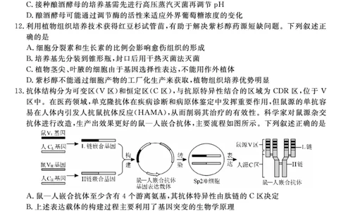 金科&middot;新未来7月3-4日高二联考-生物_2025年7月_250707河南省金科&middot;新未来2024-2025学年高二下学期期末联考考试（全科）_金科&middot;新未来7月3-4日高二联考试题